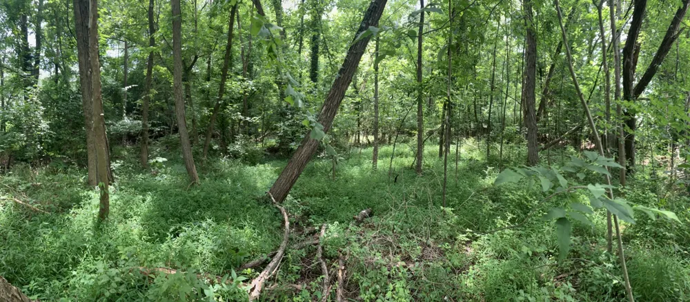 0 Township Dr Hendersonville, TN 37075