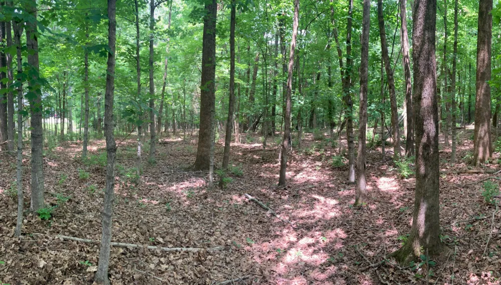 0 Township Dr Hendersonville, TN 37075