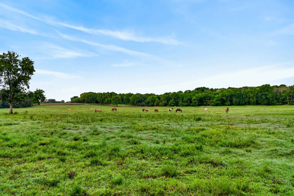594 Northern Rd Mount Juliet, TN 37122