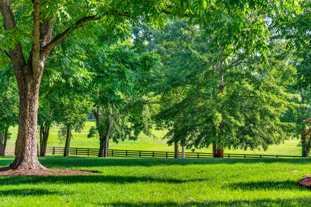 594 Northern Rd Mount Juliet, TN 37122