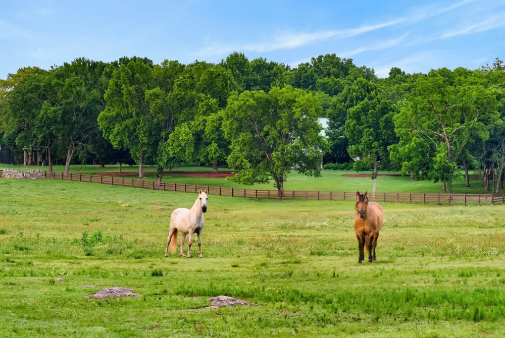 594 Northern Rd Mount Juliet, TN 37122