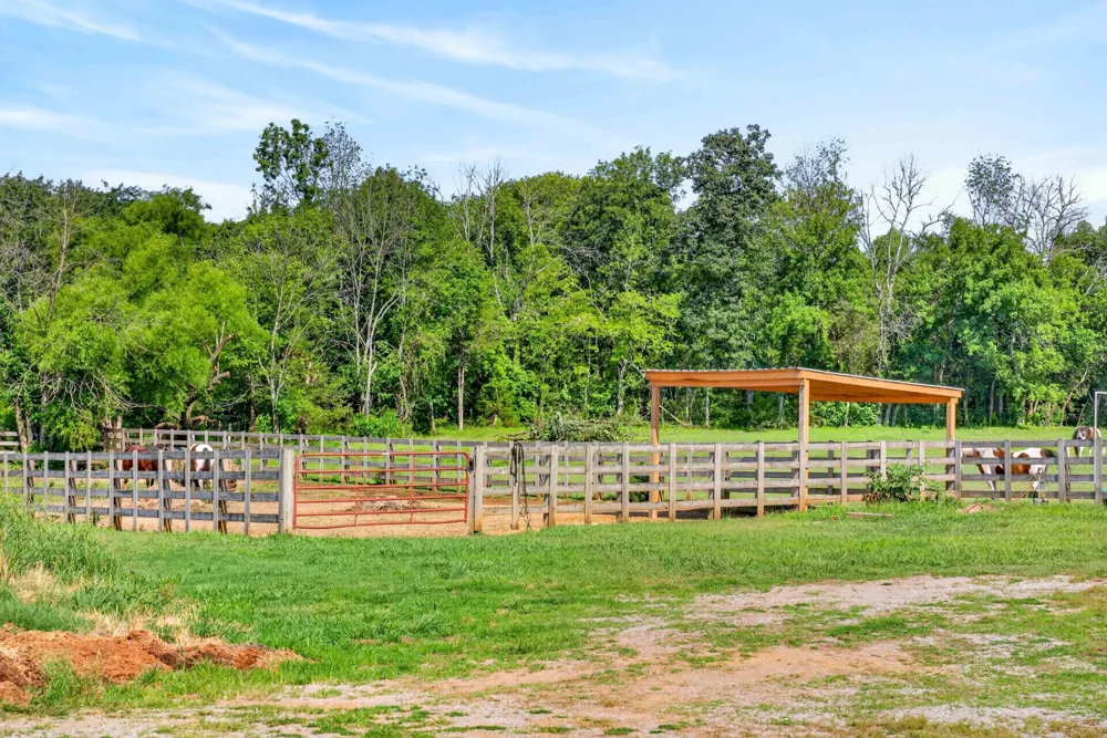 594 Northern Rd Mount Juliet, TN 37122