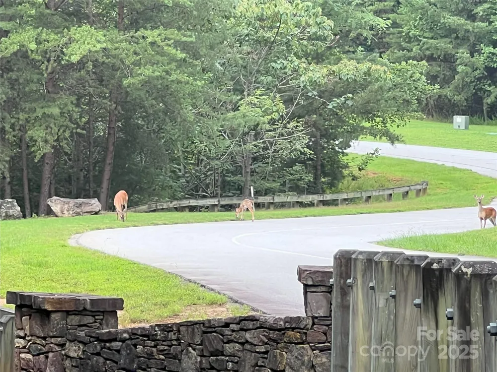 00 Deep Gap Road E #97 Mill Spring, NC 28756