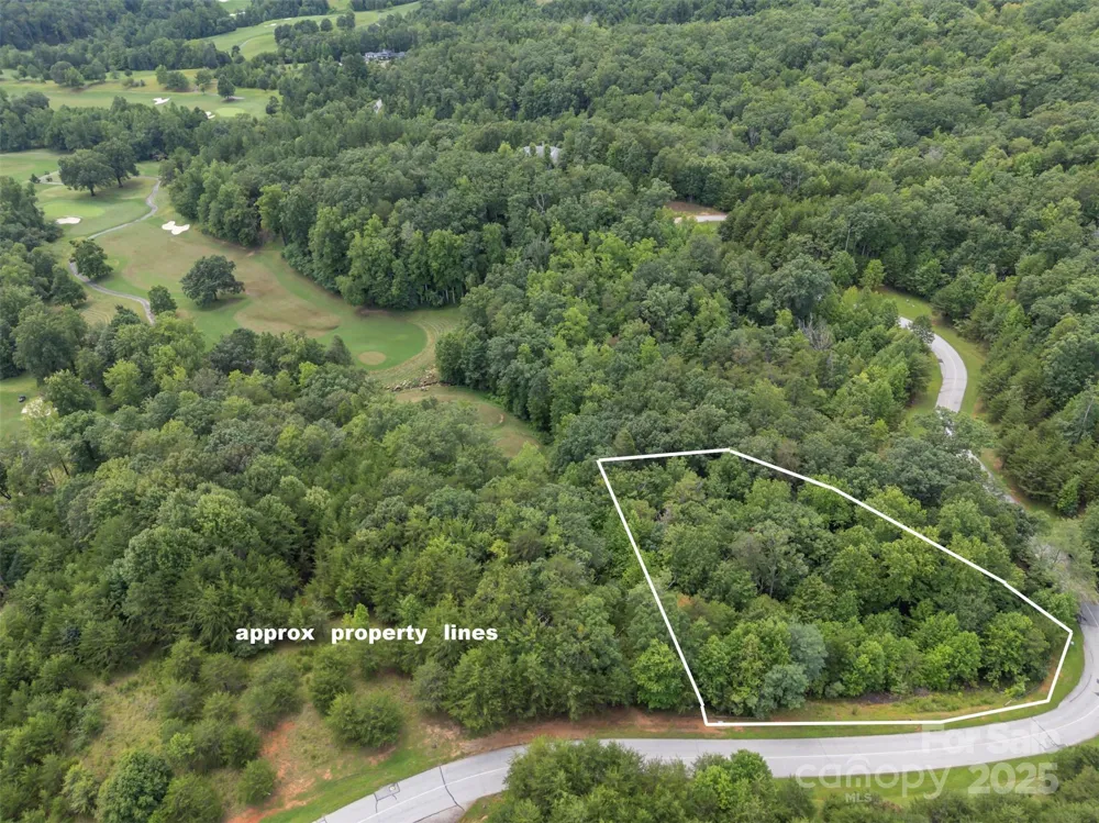 00 Deep Gap Road E #97 Mill Spring, NC 28756