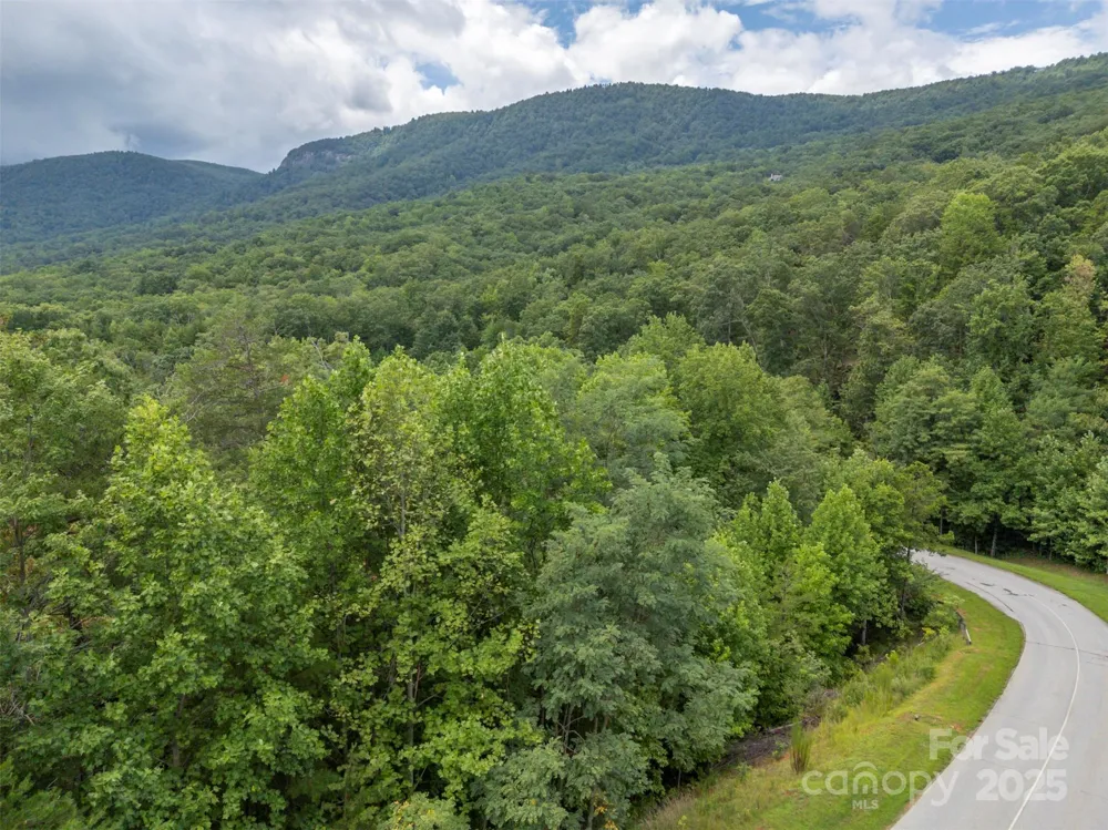 00 Deep Gap Road E #97 Mill Spring, NC 28756