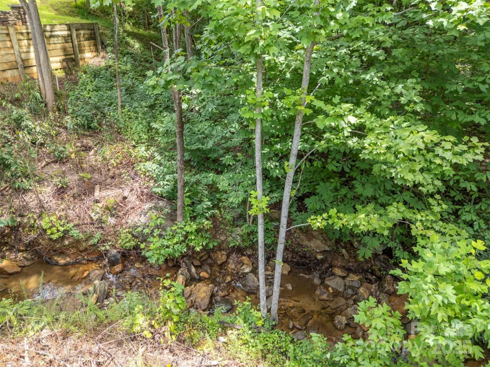00 Deep Gap Road E #97 Mill Spring, NC 28756