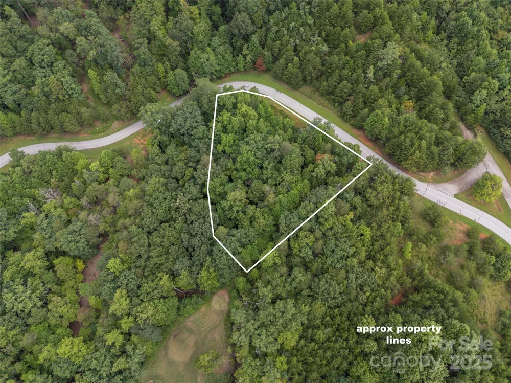 00 Deep Gap Road E #97 Mill Spring, NC 28756