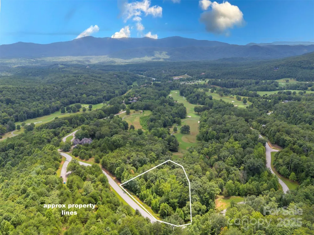 00 Deep Gap Road E #97 Mill Spring, NC 28756