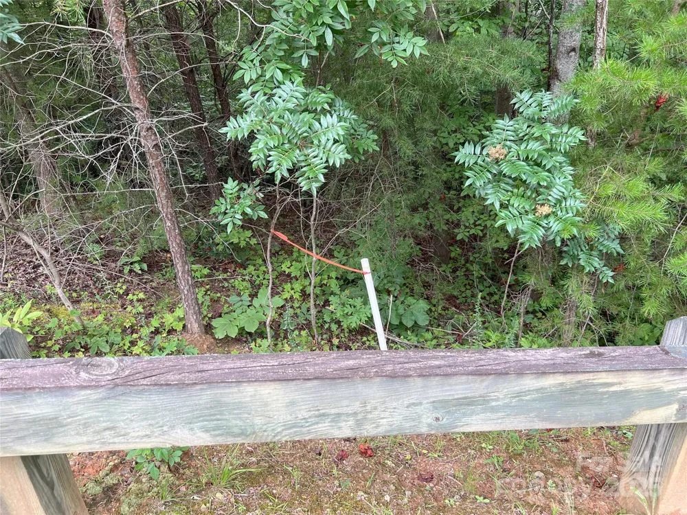 00 Deep Gap Road E #97 Mill Spring, NC 28756