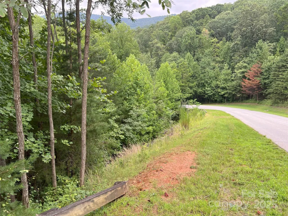 00 Deep Gap Road E #97 Mill Spring, NC 28756