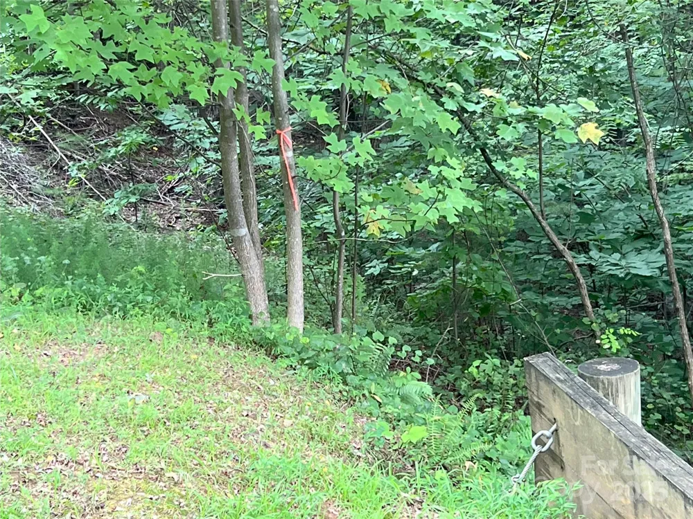 00 Deep Gap Road E #97 Mill Spring, NC 28756