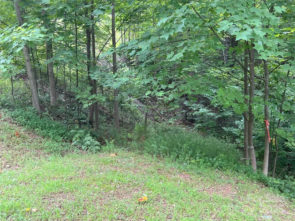 00 Deep Gap Road E #97 Mill Spring, NC 28756