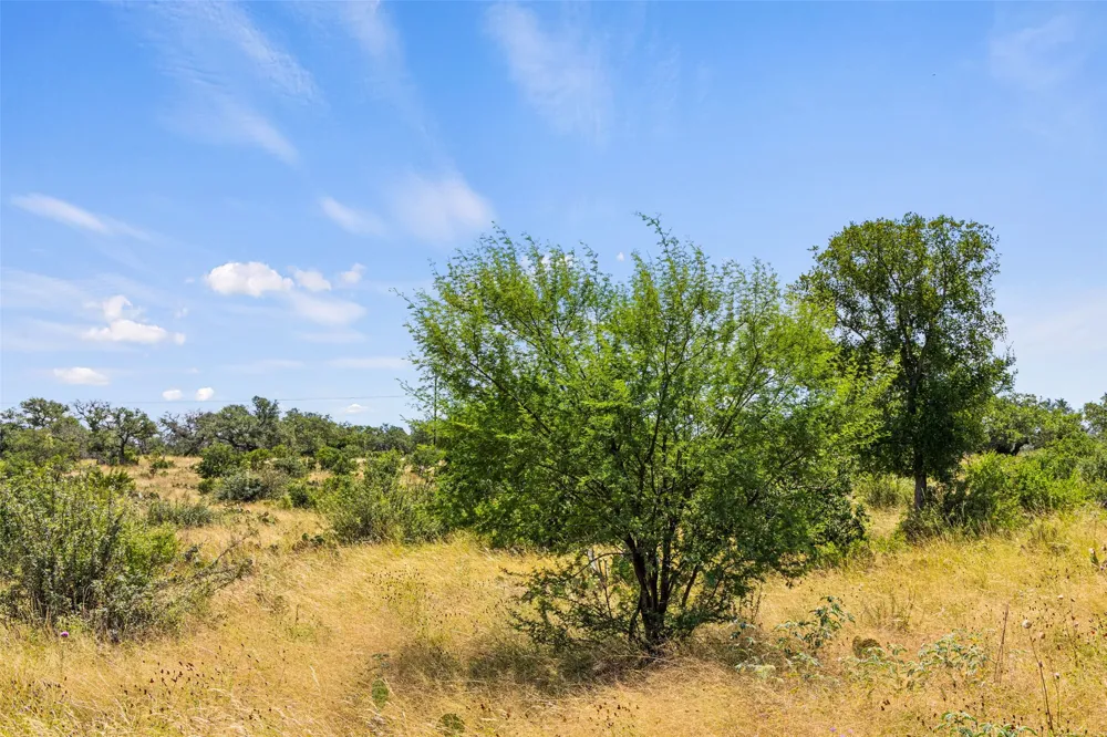 135 River View Drive Johnson City, TX 78636