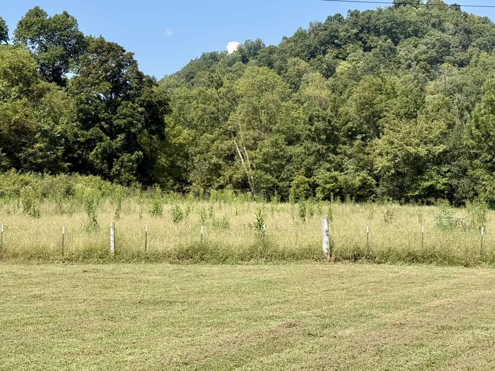 2625 Wartrace Hwy Pleasant Shade, TN 37145