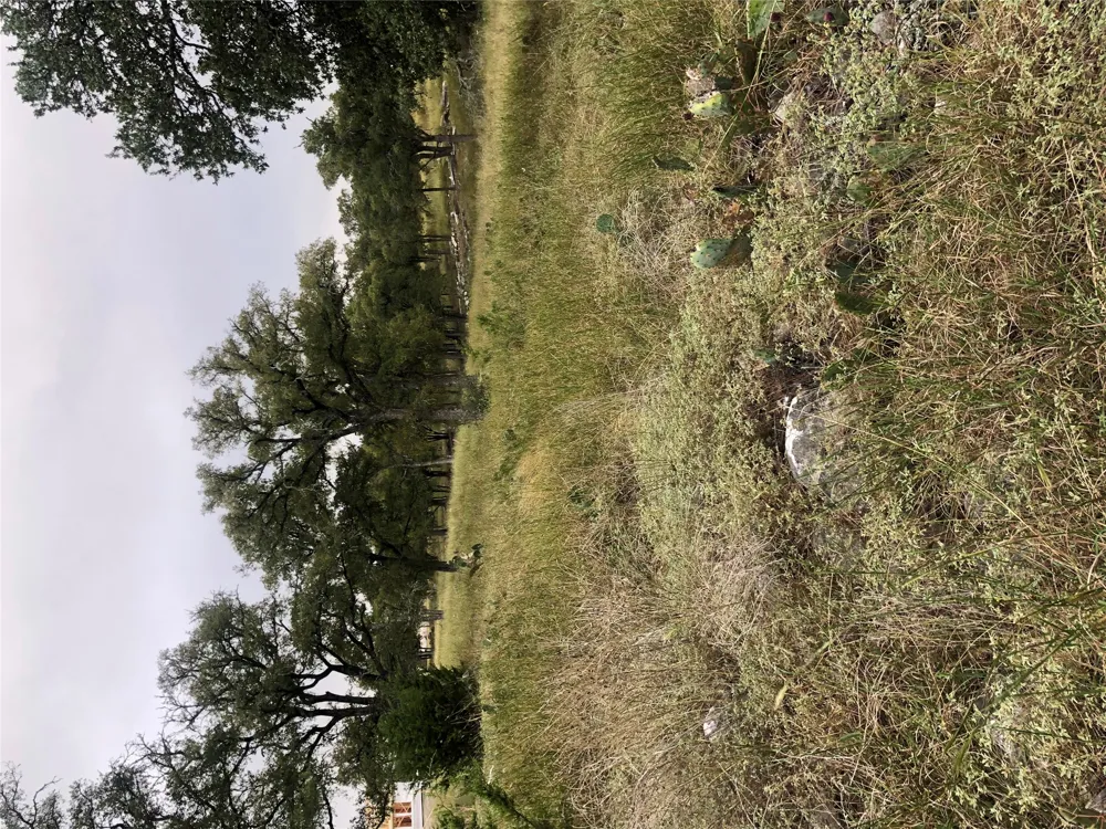 99 Axis Circle Fredericksburg, TX 78624