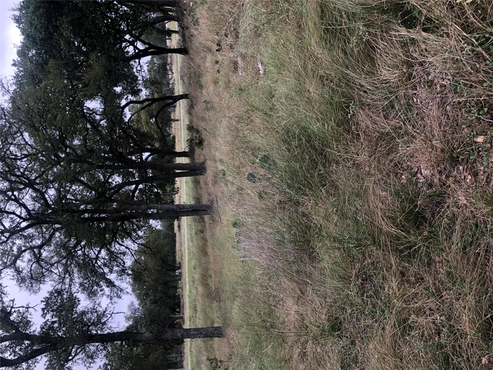99 Axis Circle Fredericksburg, TX 78624
