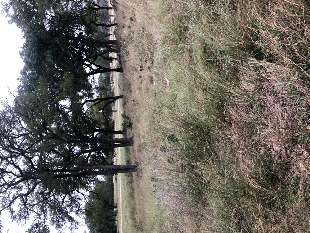 99 Axis Circle Fredericksburg, TX 78624