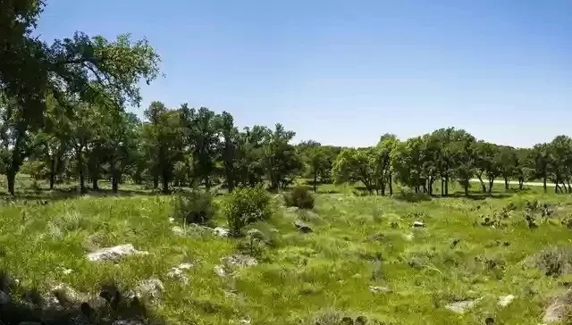 99 Axis Circle Fredericksburg, TX 78624