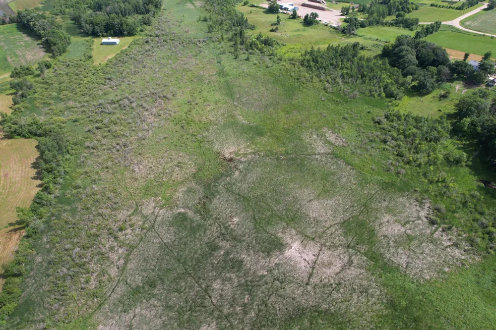 TBD 215th Avenue Long Prairie, MN 56347