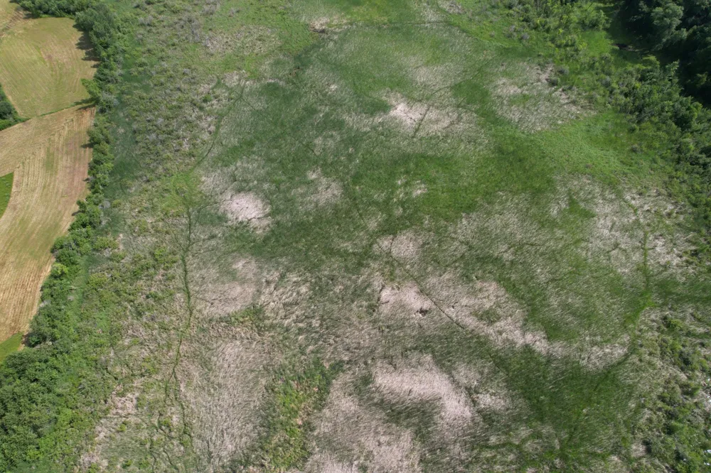 TBD 215th Avenue Long Prairie, MN 56347