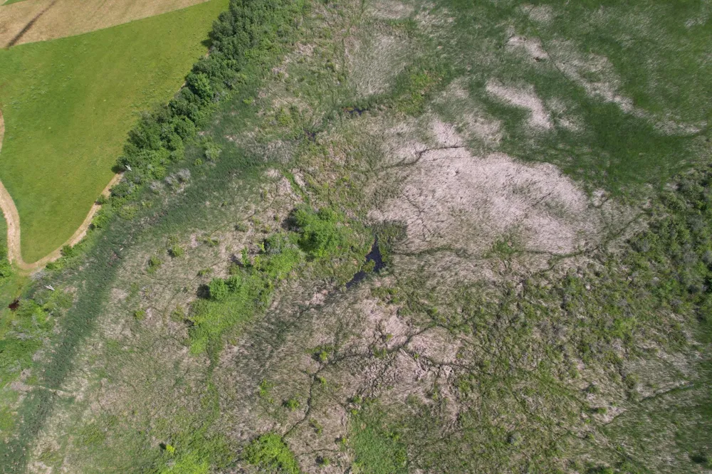 TBD 215th Avenue Long Prairie, MN 56347
