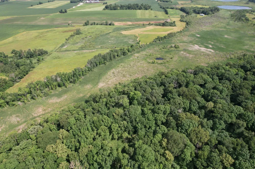 TBD 215th Avenue Long Prairie, MN 56347