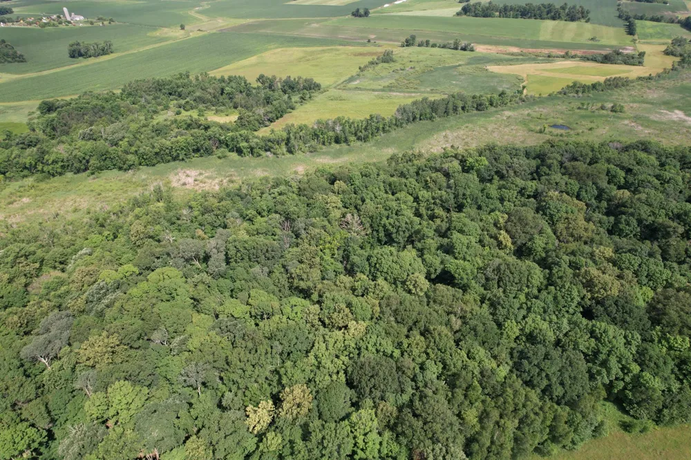 TBD 215th Avenue Long Prairie, MN 56347