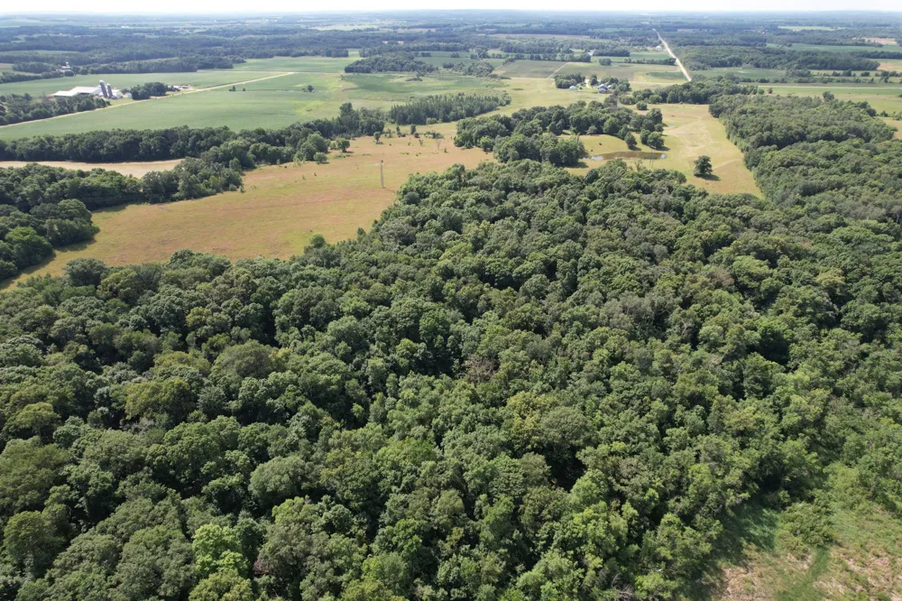TBD 215th Avenue Long Prairie, MN 56347