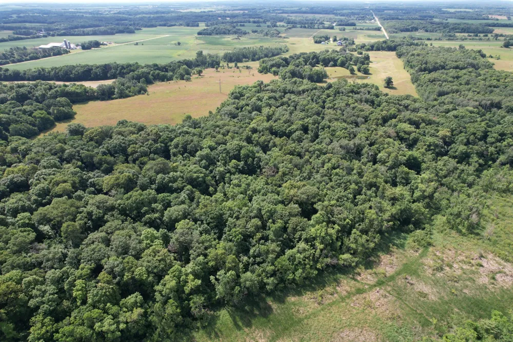TBD 215th Avenue Long Prairie, MN 56347