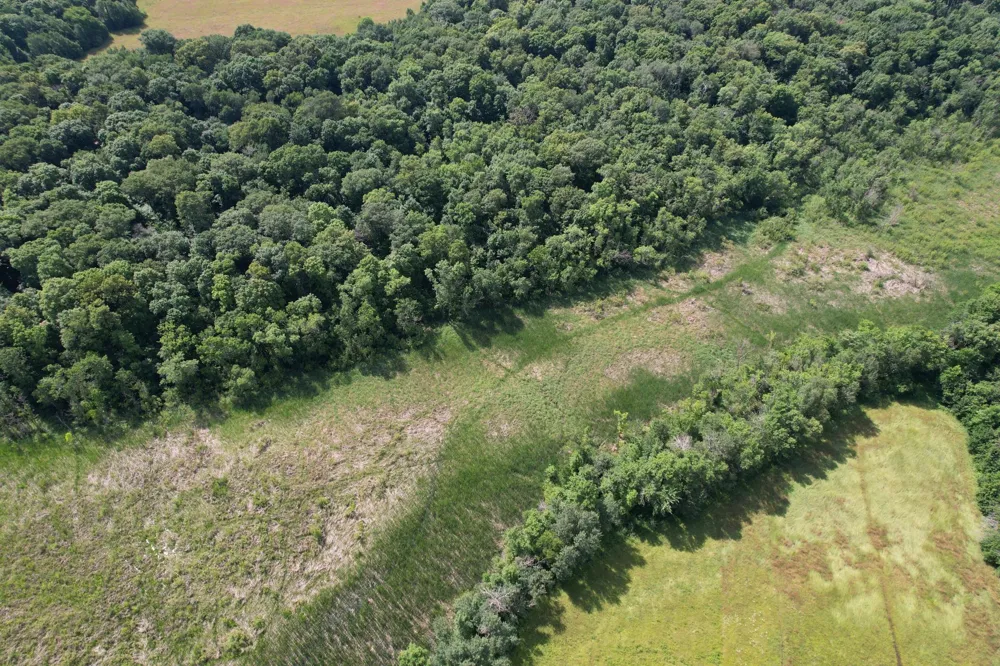 TBD 215th Avenue Long Prairie, MN 56347