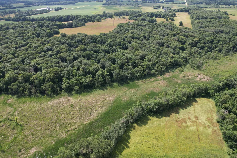 TBD 215th Avenue Long Prairie, MN 56347