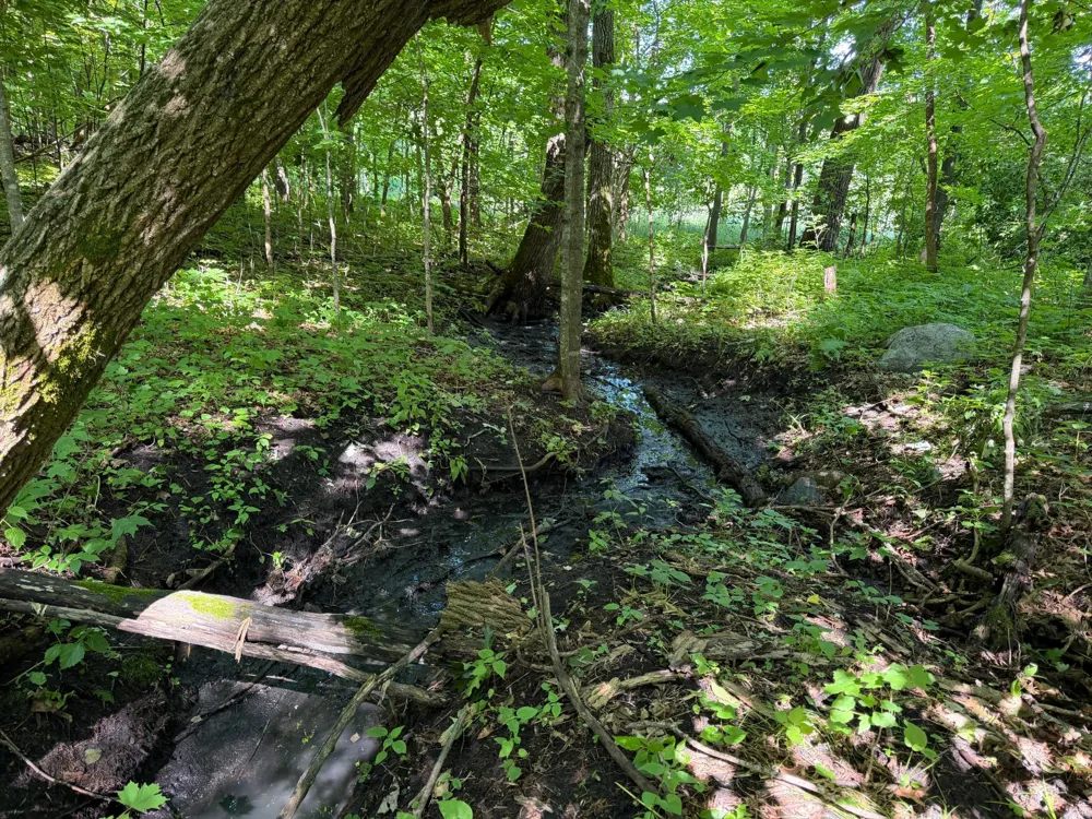 TBD 215th Avenue Long Prairie, MN 56347