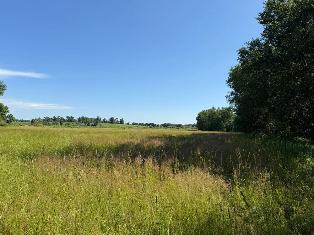 TBD 215th Avenue Long Prairie, MN 56347