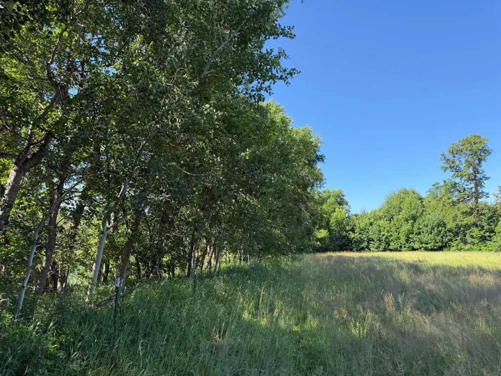 TBD 215th Avenue Long Prairie, MN 56347