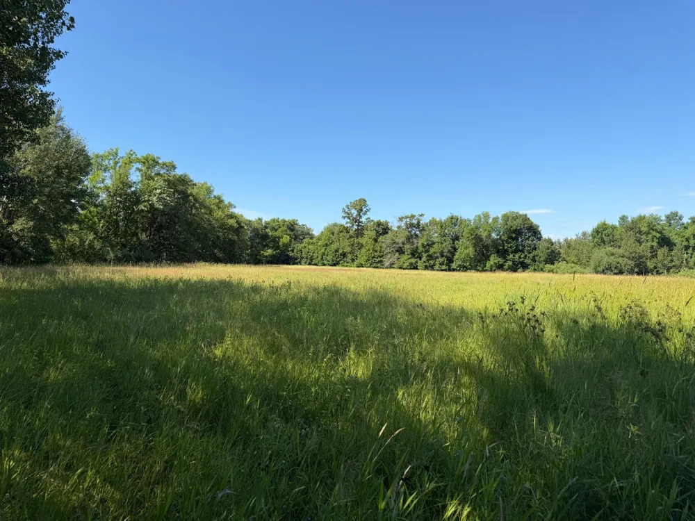 TBD 215th Avenue Long Prairie, MN 56347