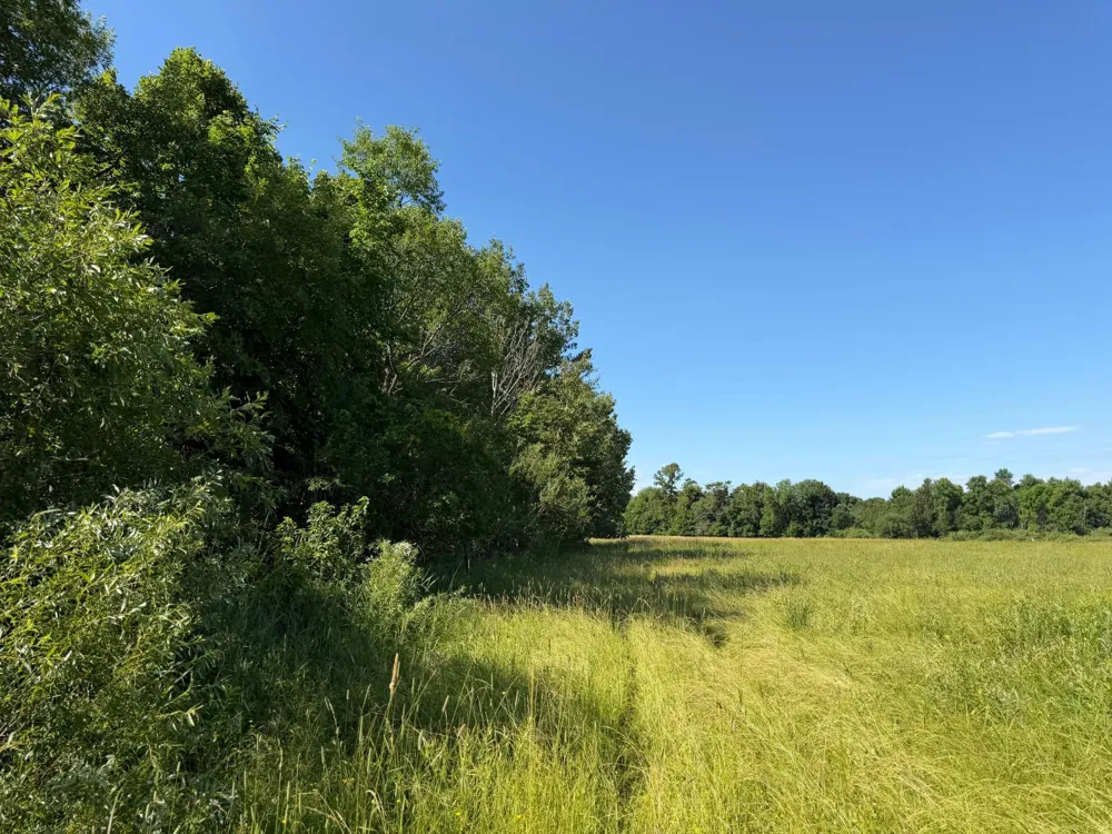 TBD 215th Avenue Long Prairie, MN 56347