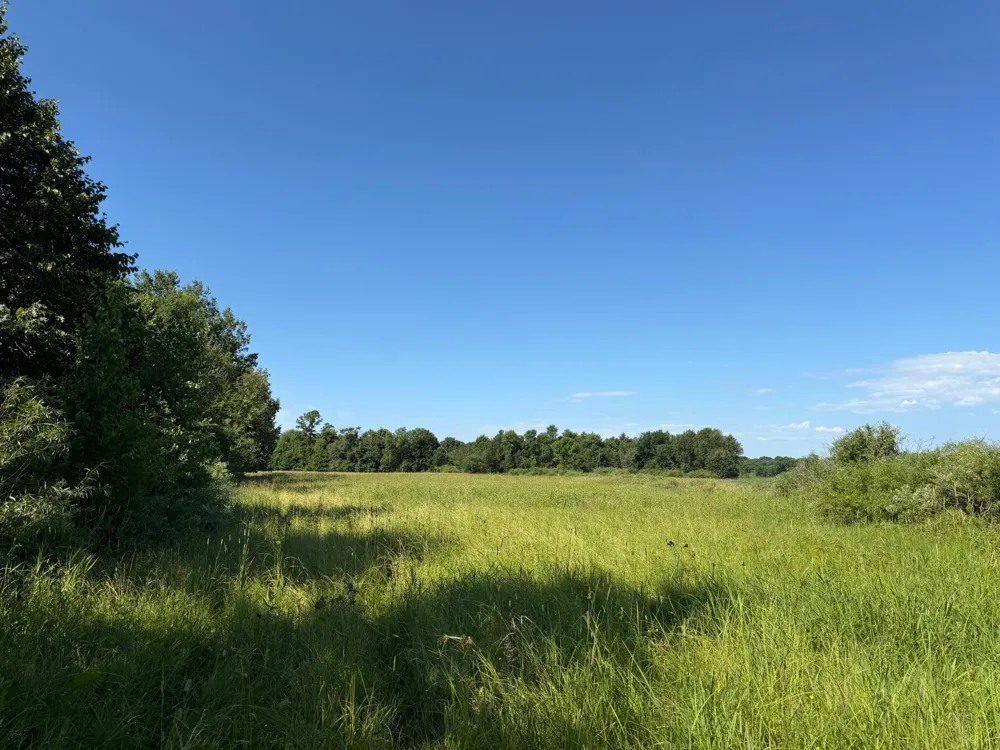 TBD 215th Avenue Long Prairie, MN 56347