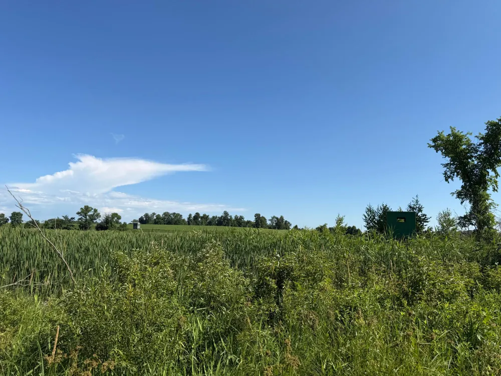TBD 215th Avenue Long Prairie, MN 56347
