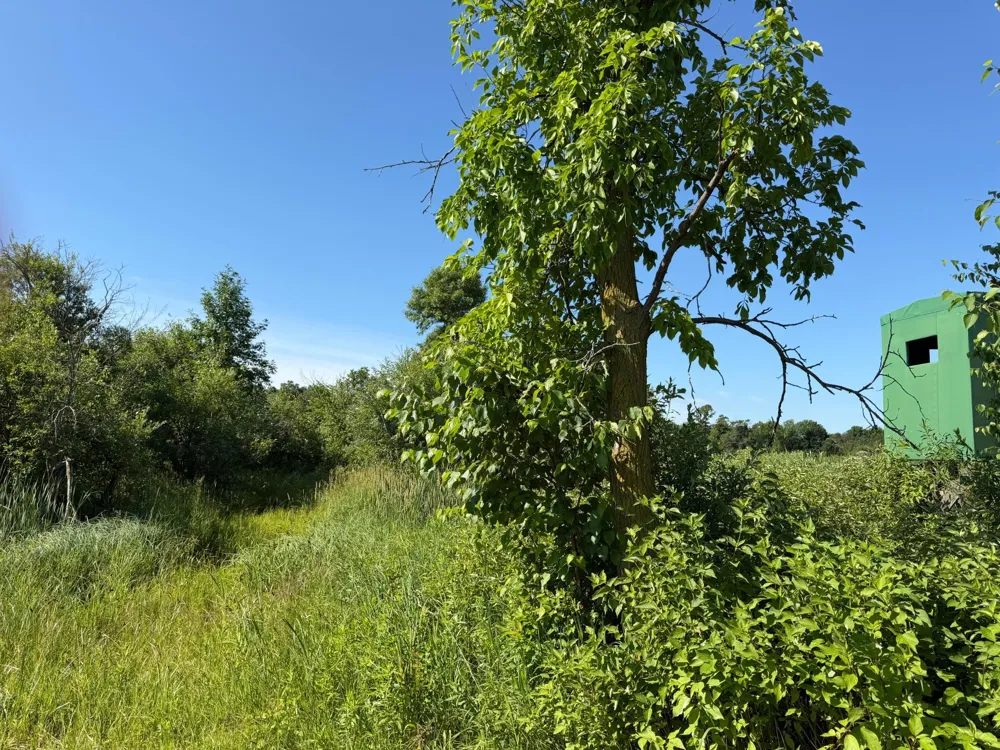 TBD 215th Avenue Long Prairie, MN 56347