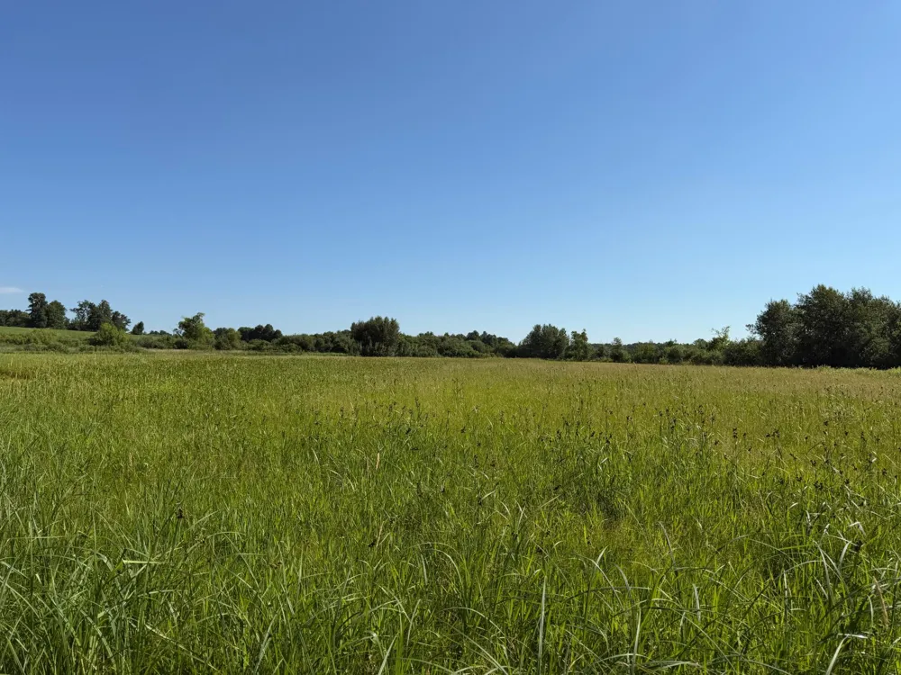 TBD 215th Avenue Long Prairie, MN 56347