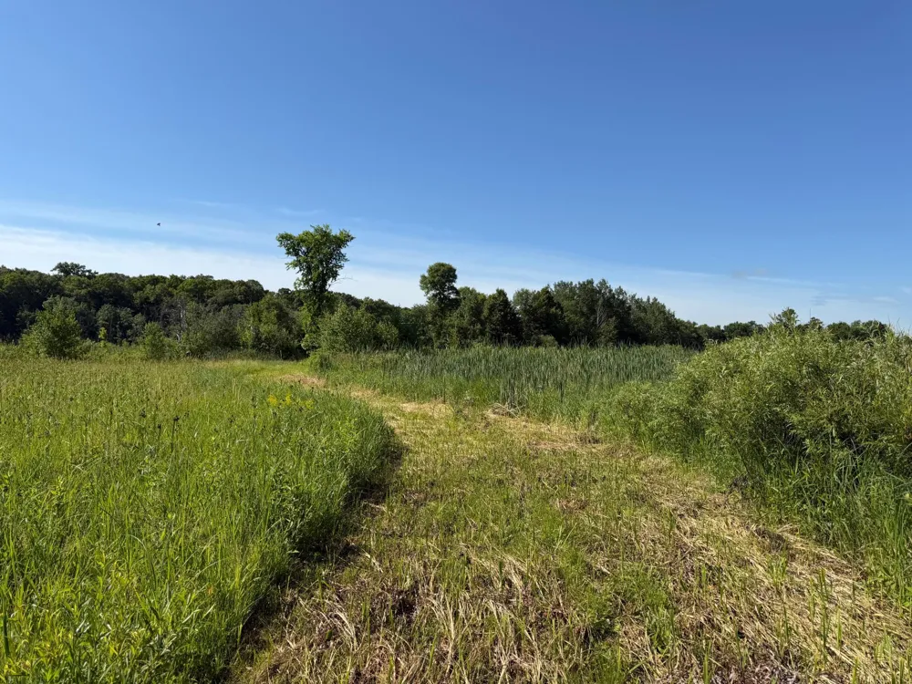 TBD 215th Avenue Long Prairie, MN 56347