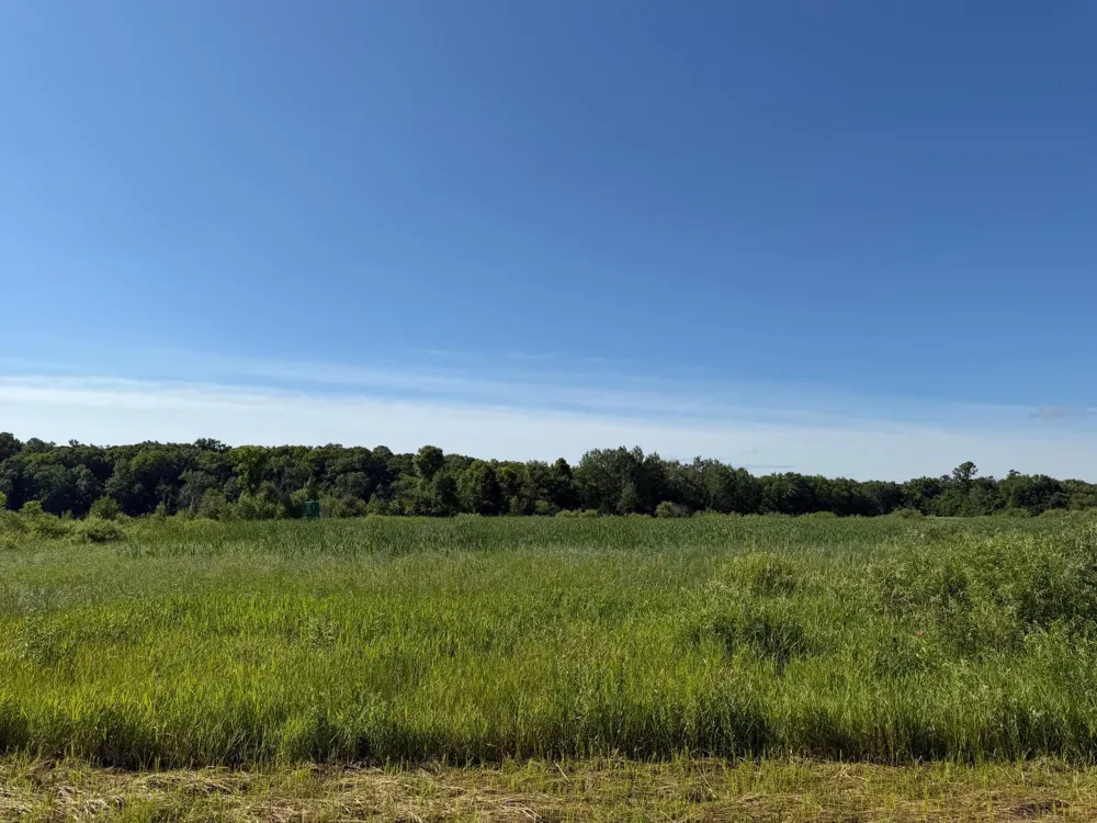 TBD 215th Avenue Long Prairie, MN 56347