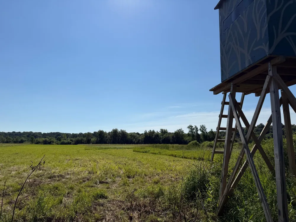 TBD 215th Avenue Long Prairie, MN 56347