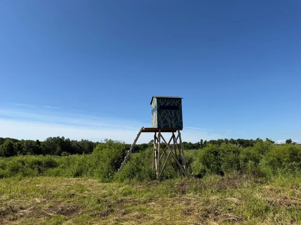 TBD 215th Avenue Long Prairie, MN 56347