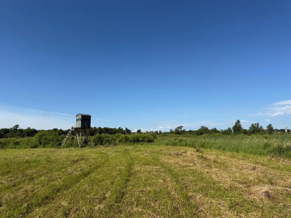 TBD 215th Avenue Long Prairie, MN 56347