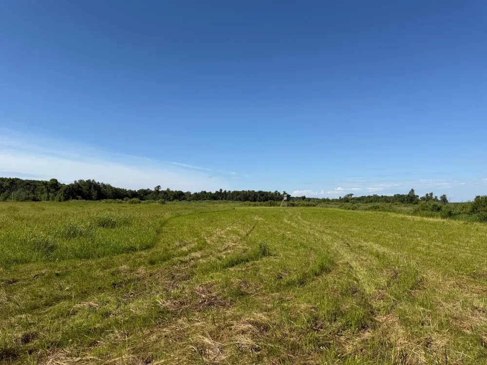 TBD 215th Avenue Long Prairie, MN 56347