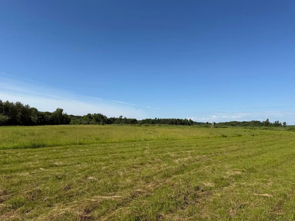 TBD 215th Avenue Long Prairie, MN 56347