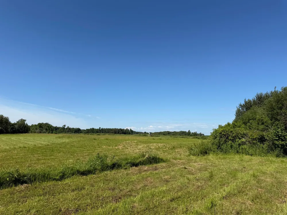 TBD 215th Avenue Long Prairie, MN 56347