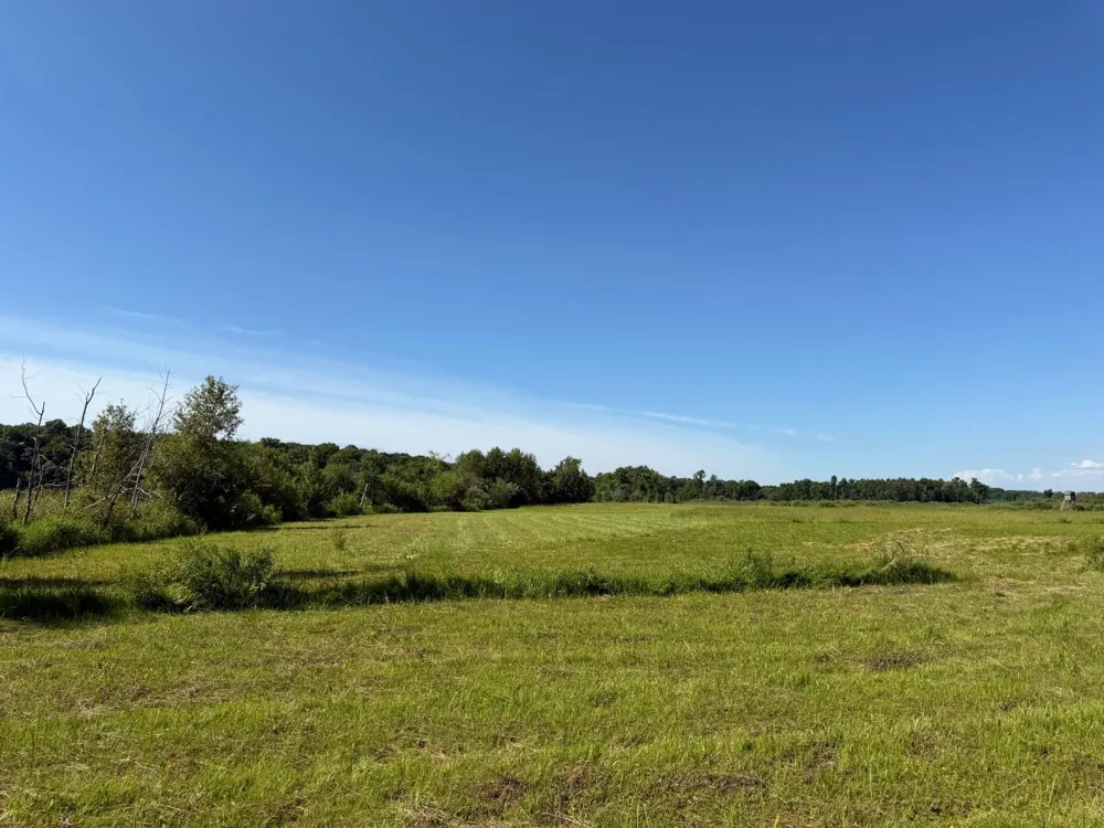 TBD 215th Avenue Long Prairie, MN 56347