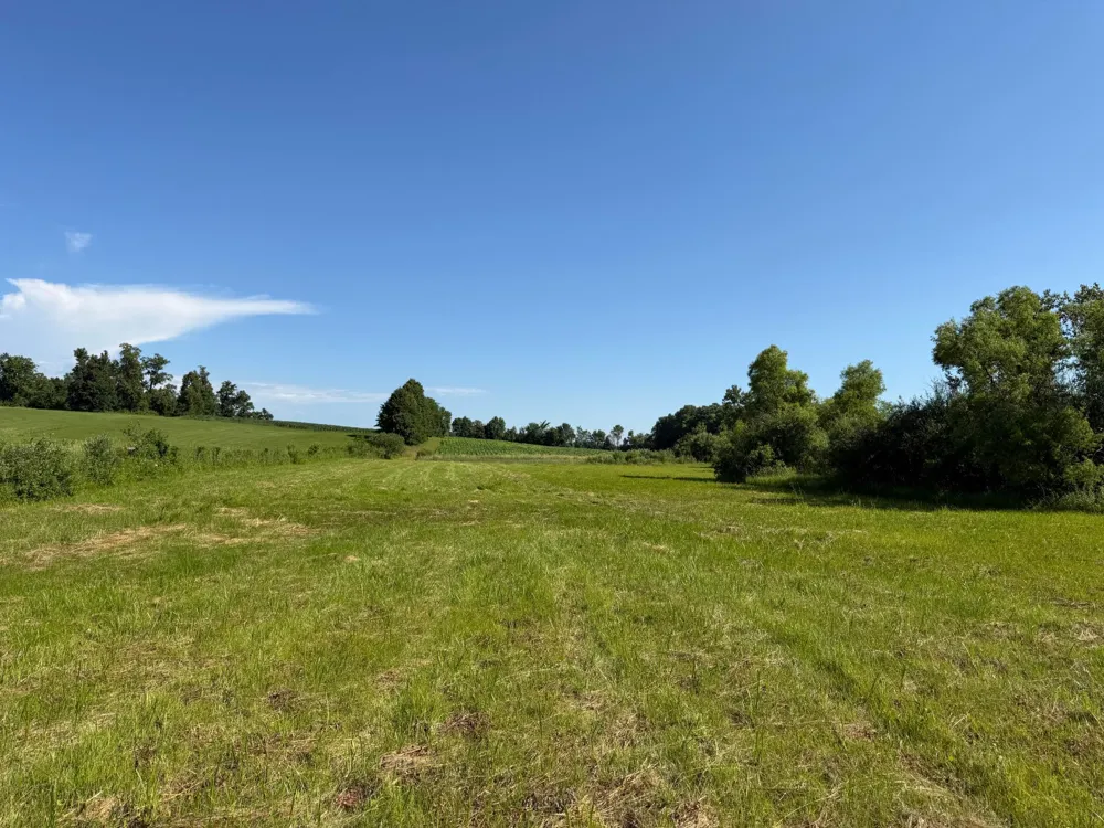 TBD 215th Avenue Long Prairie, MN 56347